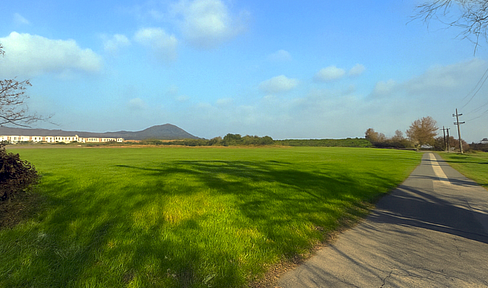 Property with house in Gumpoldskirchen - suburban location with perfect connections & great potential