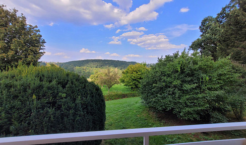 Spacious 3-room apartment with a view of the countryside