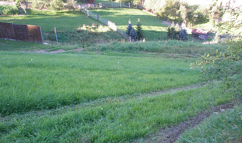 Freizeitgrundstücke zur PACHT in 4120 Neufelden OÖ