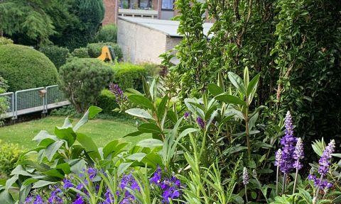 Quiet, individual 3-room apartment with loggia and underground parking space