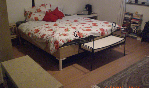 KA-South-East: Quiet 1-room apartment with kitchen and bathroom - ground floor, no commission, available September 1st, 2026.