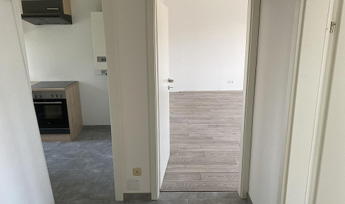 65m2 apartment in Wels