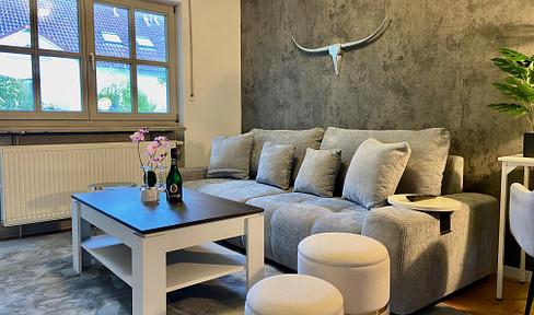 Fully furnished, newly renovated, spacious, quiet, sunny balcony, near station, Free WLAN