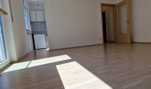 ideal for students - central, modern, bright, quiet