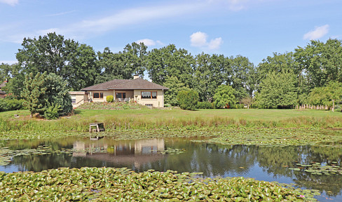 Bungalow near the city with spacious plot