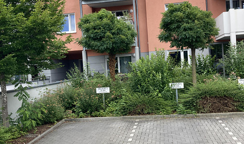 Disabled-friendly new 2-room apartment with ter in Augsburg