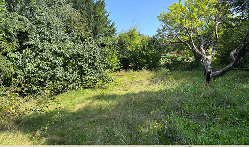 Large building plot with garden in a quiet hillside location in Zweibrücken