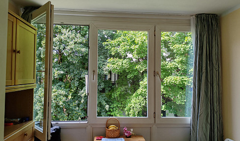 Schönes möbliertes Apartment in Giesing