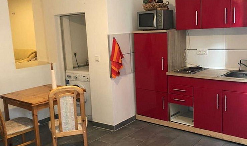 1.5 room apartment with terrace garden