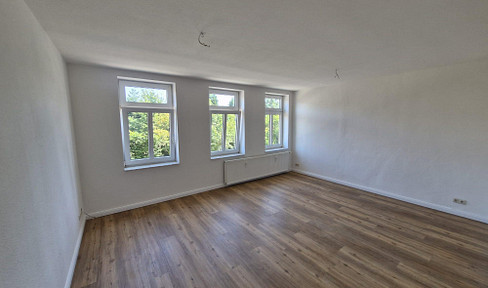 Renovated 3-room apartment with roof terrace in Schneverdingen