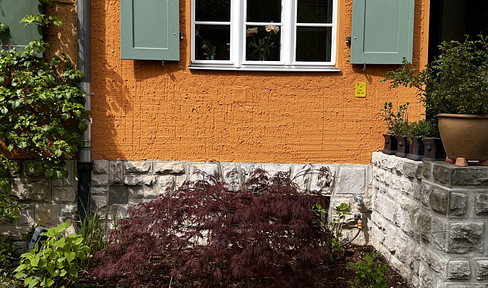 Modern terraced house