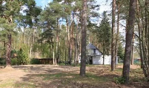 Building plot in Beelitz OT Fichtenwalde VB