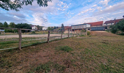 Farm with lots of potential