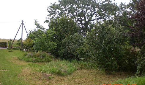 Land consisting of 2 parcels - for sale by private owner (price negotiable).