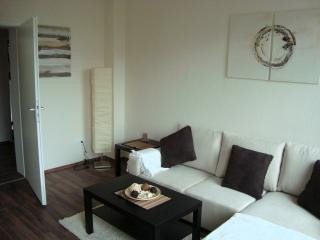 2-room apartment in the eastern district.