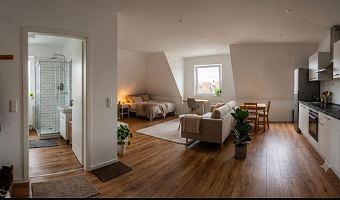 1-Zimmer DG Wohnung, komplette saniert