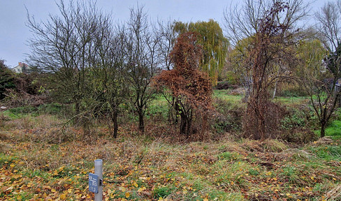 undeveloped property in Wustermark, Berliner Allee