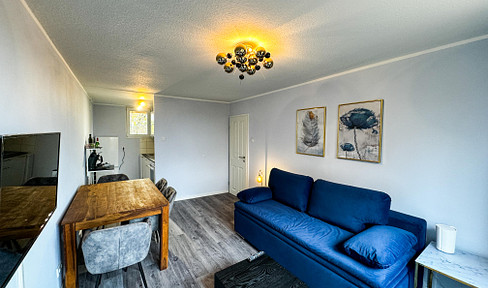 Voll möbliertes 2 1/2 Zimmer Apartment mit Balkon und High-Speed-Internet