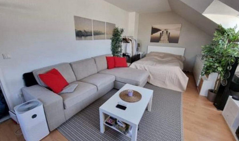 Penthouse apartment in the heart of the city with a view over the city, 6% rental yield or personal use