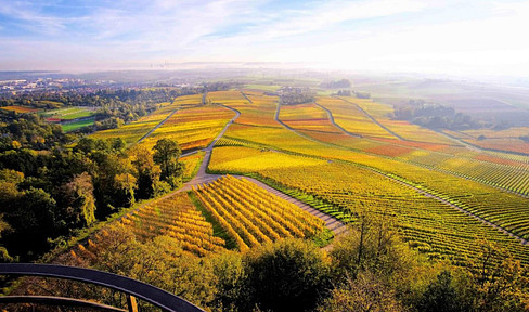 Semi-detached house - ideal for your family!