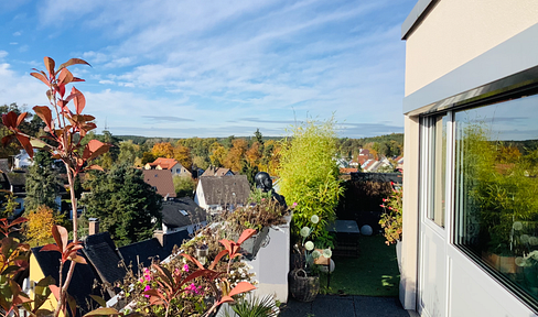 Modernes Penthouse in Waldrandnähe: 4 Zimmer, Dachterrasse und Naturblick, zentrale Anbindung