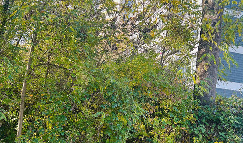 Above the rooftops of Bad Homburg ETW 3 rooms