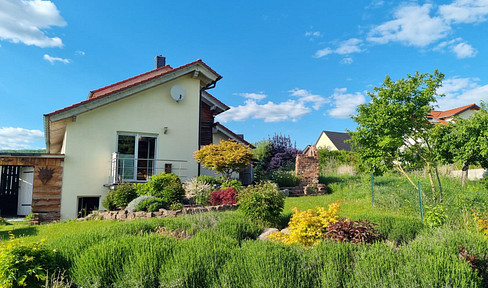 Well-maintained detached house with upscale furnishings - available at short notice, commission-free