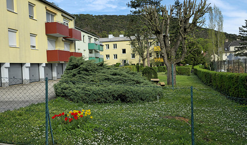 Hinterbrühl quiet green location with own garage , PROVISIONS FREE