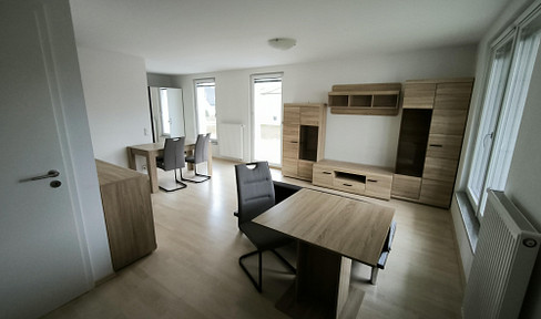 #0.11# Nice quiet fully furnished apartment. From January.