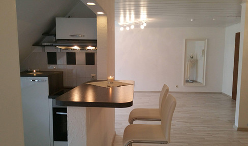 Neckarwestheim - For those who love the SPECIAL - Studio apartment