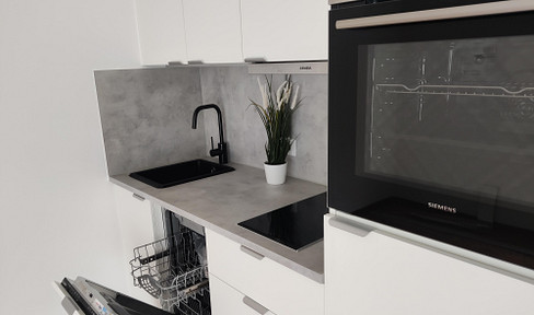 Business Apartment/ 1-Bedroom Apartment Nuremberg North