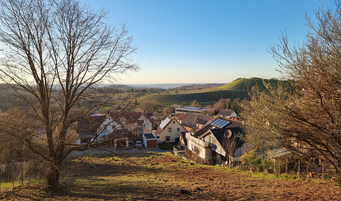 Property for sale free of commission