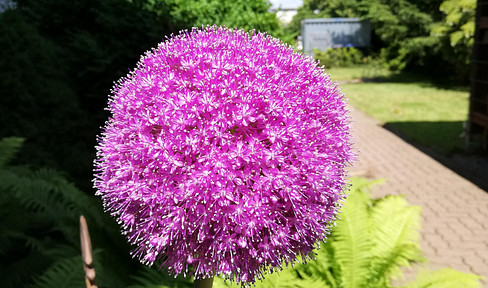 Büro/ Praxisetage in bester Lage in Wolfenbüttel mit Parkplätzen