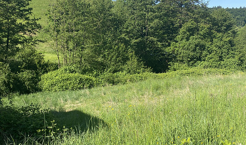 Plot for sale for a single/multi-family house in a sunny location