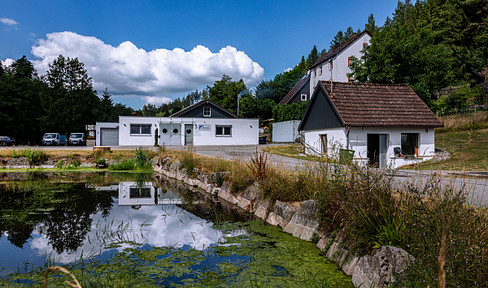 Als Gewerbegrundstück  nutzbar  / Einmaliger Forellenhof Schwarzwald