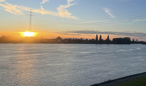 Idylle am Elbdeich: Topgepflegtes Wohnhaus m. 2 Apartments