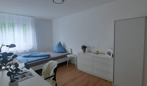 WG-Zimmer in neu sanierter Wohnung in Maxfeld zu vermieten