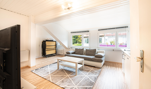 Furnished 1-room apartment