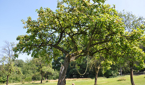 Nachhaltiges Naturparadies: Modernisiertes Bruchsteinhaus auf 3.237m² mit Wärmepumpe