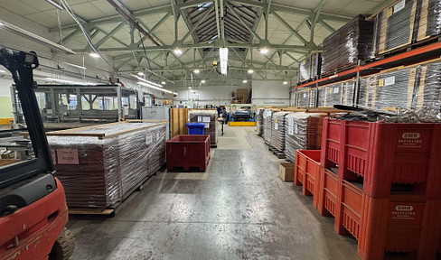 Robust industrial hall for storage, production, trade