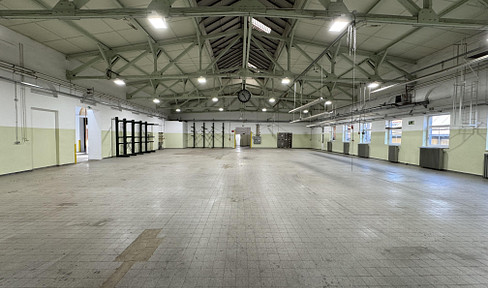 Robust industrial hall for storage, production, trade