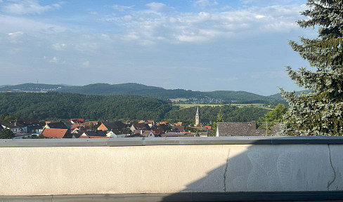 Attractive renovated 3-room penthouse apartment with new EBK and large terrace with top view