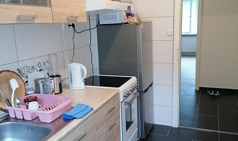 Bright attractive renovated 3-room apartment with balcony