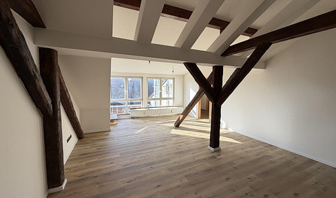 Exklusive Loft-DG-Wohnung mit 42 m² Dachterrasse & Blick über Erlangen!