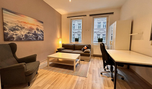 Renoviertes möbliertes 2-Zi.-Apartments zentrumsnah am Fürther Stadtpark