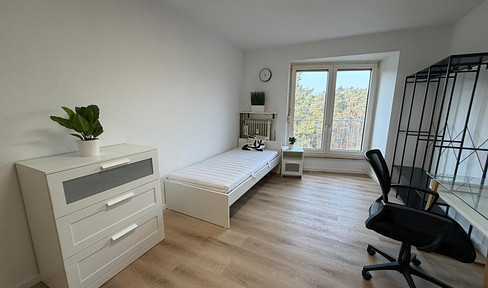 Fully furnished 1 room apartment directly on the canal