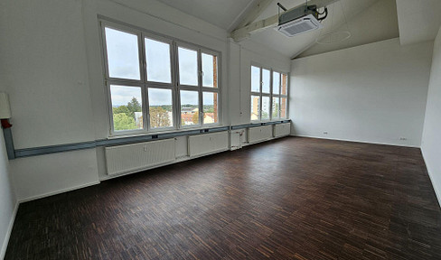 Loft office in Cassellapark FFM-Fechenheim
