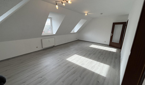 Moderne 1-Raum-Wohnung-frisch saniert