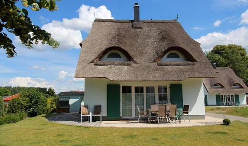 Stylish vacation home with modern technology and fireplace in Rerik