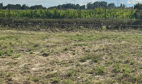 Property with beautiful distant views